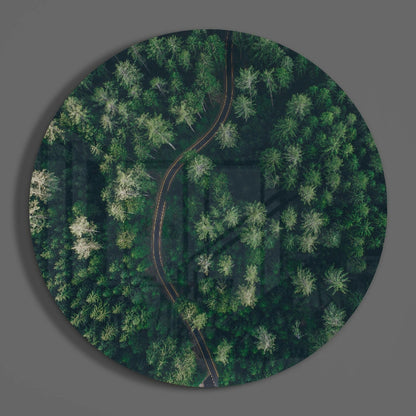 Aerial view of a curved asphalt road with yellow markings cutting through a dense green forest with mixed tree canopies on circular glass.
