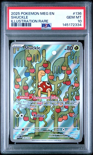 PSA-graded Shuckle Pokémon card in clear case, showing illustration rare full-art design with cacti and berries on blue background.