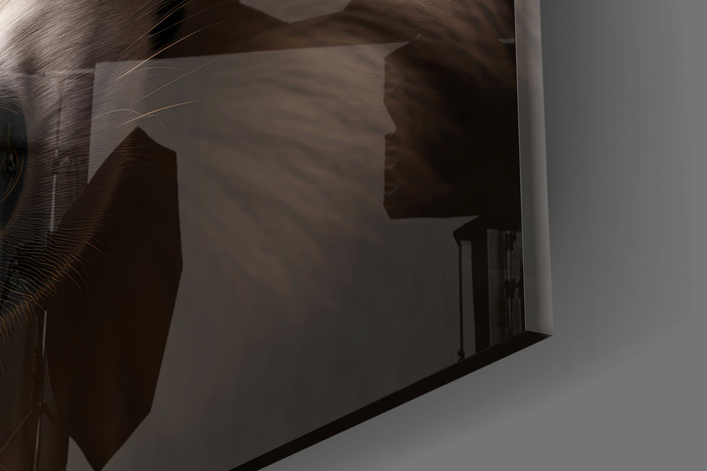 Silhouette of a wolf's profile visible through frosted glass panel against white wall, side angle view.