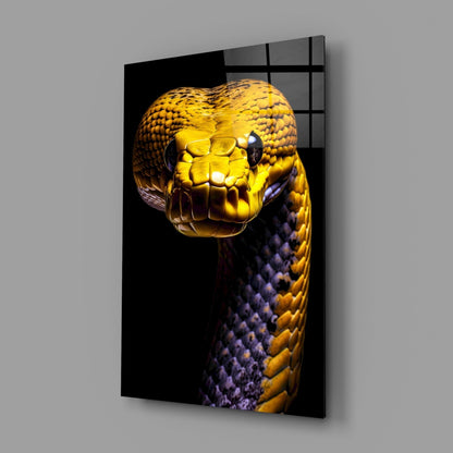 Mounted glass wall art displaying a close-up frontal view of a yellow and purple snake's head against black background.