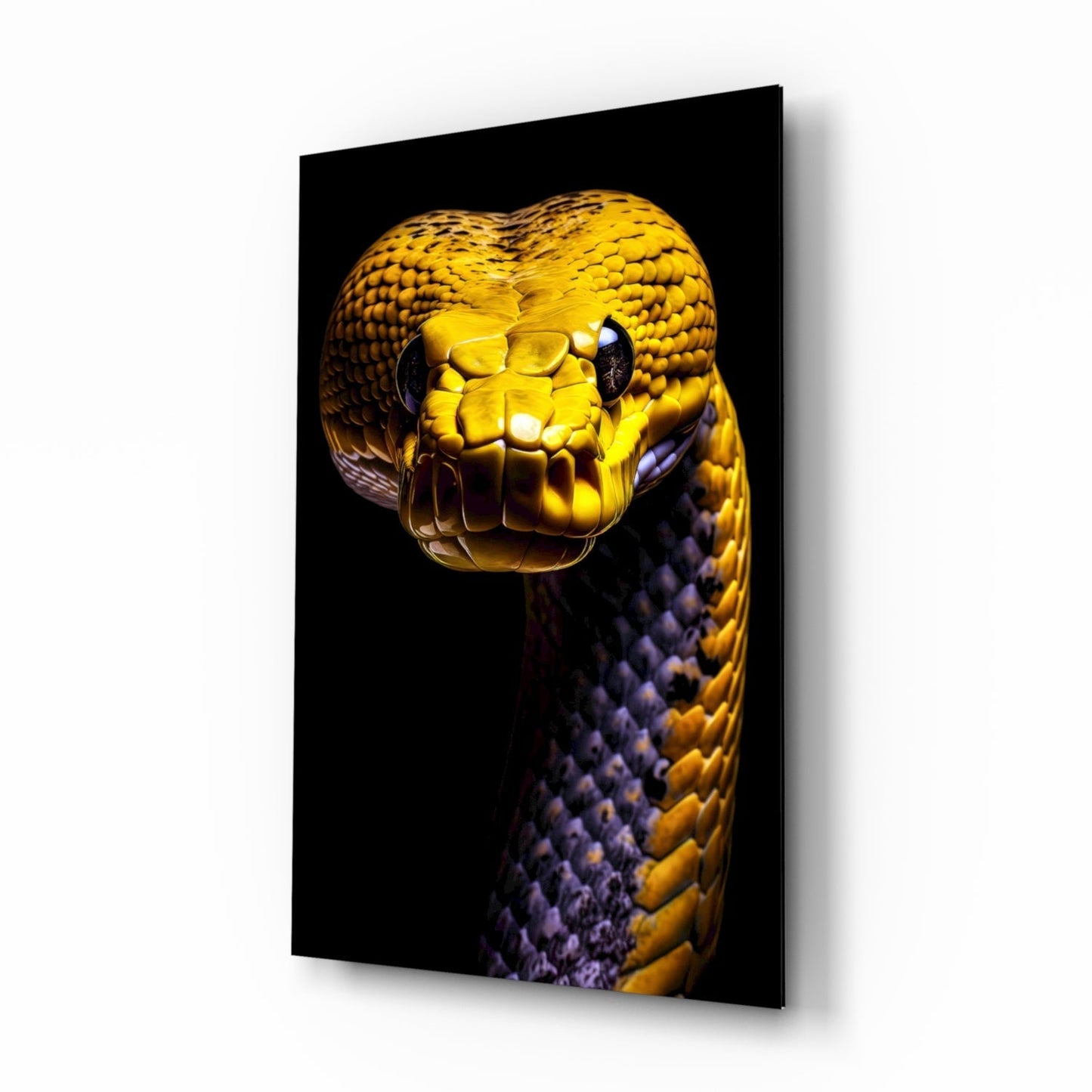 Golden-headed snake with purple body coiled upright against black background on mounted glass panel.