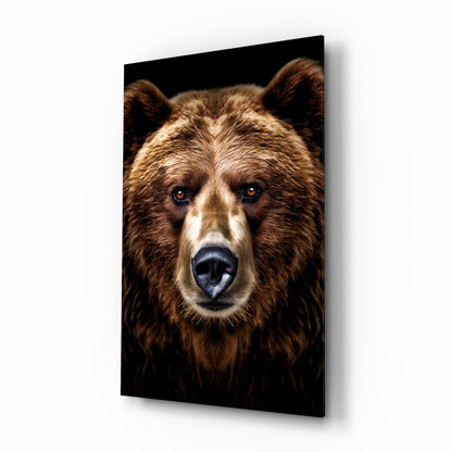 Close-up portrait of a brown bear's face with blue eyes against a black background on a glass wall panel.