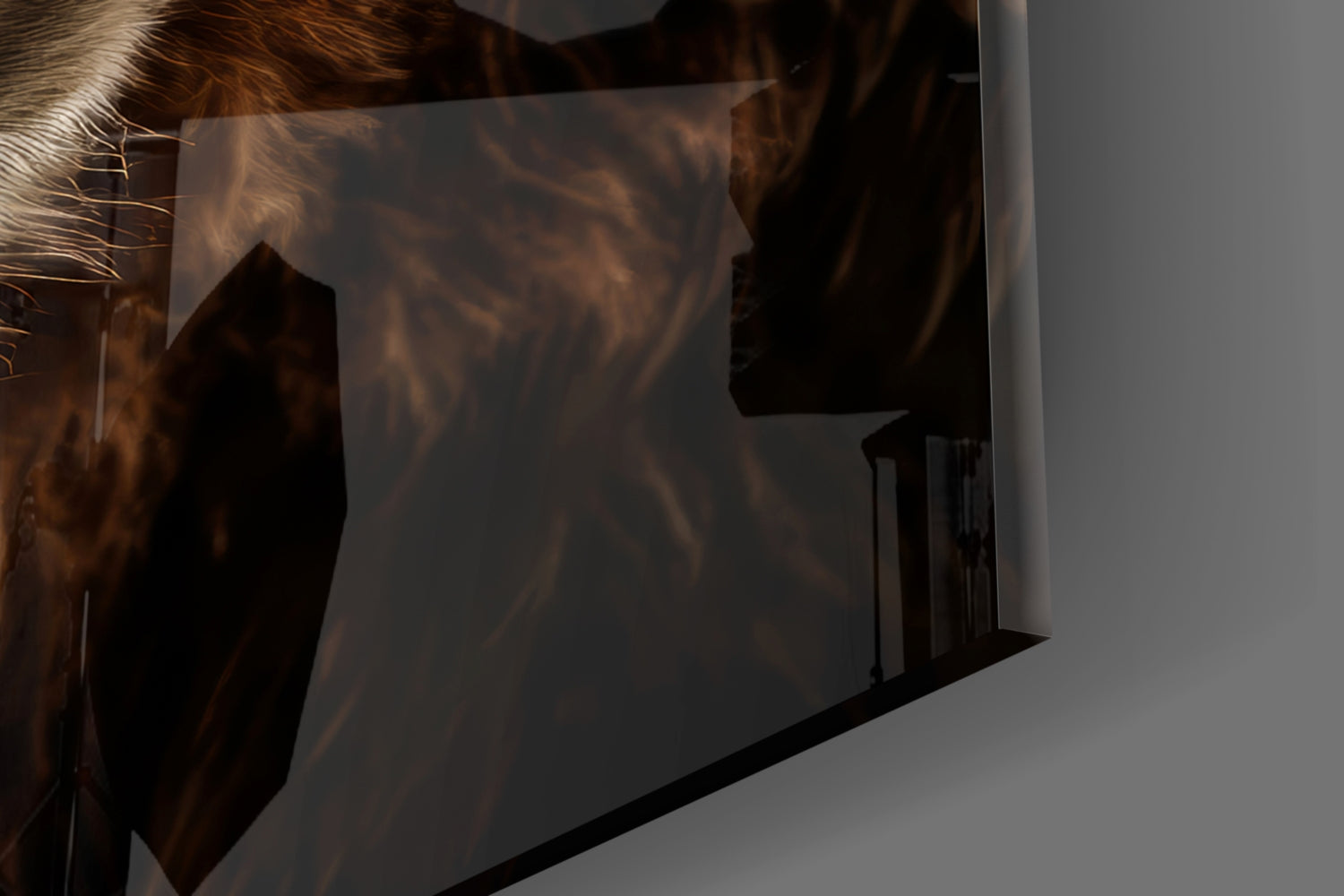 Close-up of translucent glass panel casting brown shadow silhouette of bear figure against white wall.