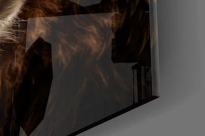 Close-up of translucent glass panel casting brown shadow silhouette of bear figure against white wall.