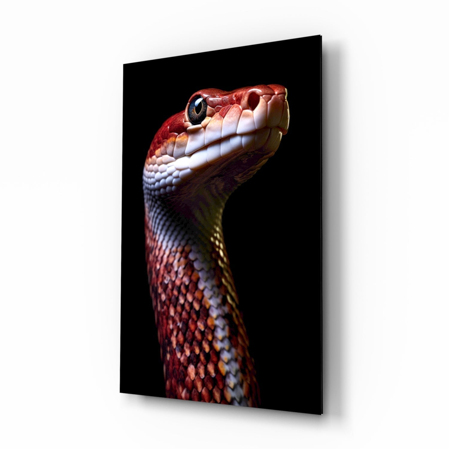 Red and white serpent head in profile against black background on glass wall art panel.