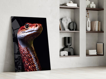 Red and gold scaled serpent head in profile against black background, leaning against white wall beside wooden shelving unit.