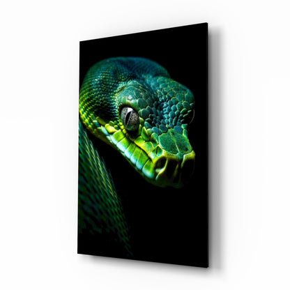 Close-up of emerald green viper head with prominent eye against black background, displayed on black glass wall panel.