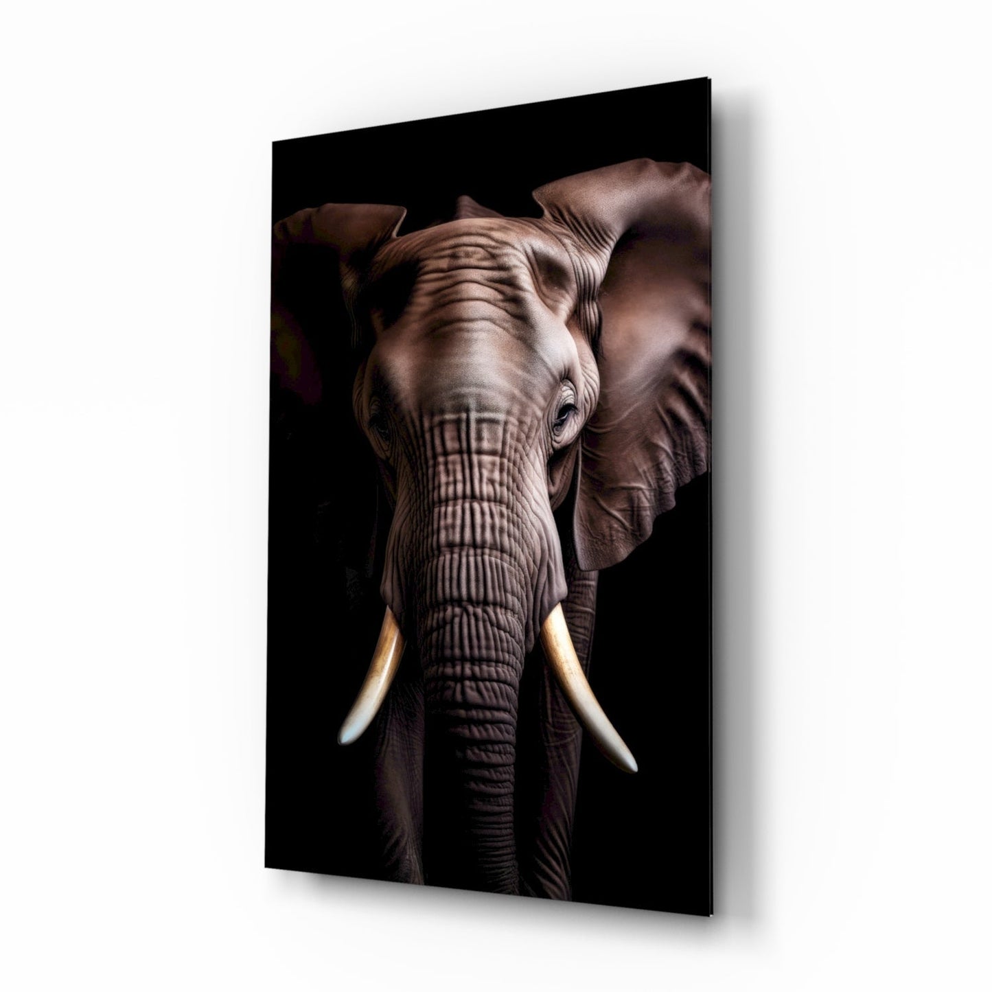 Front-facing elephant head with ivory tusks against black background on mounted glass panel, angled perspective view.