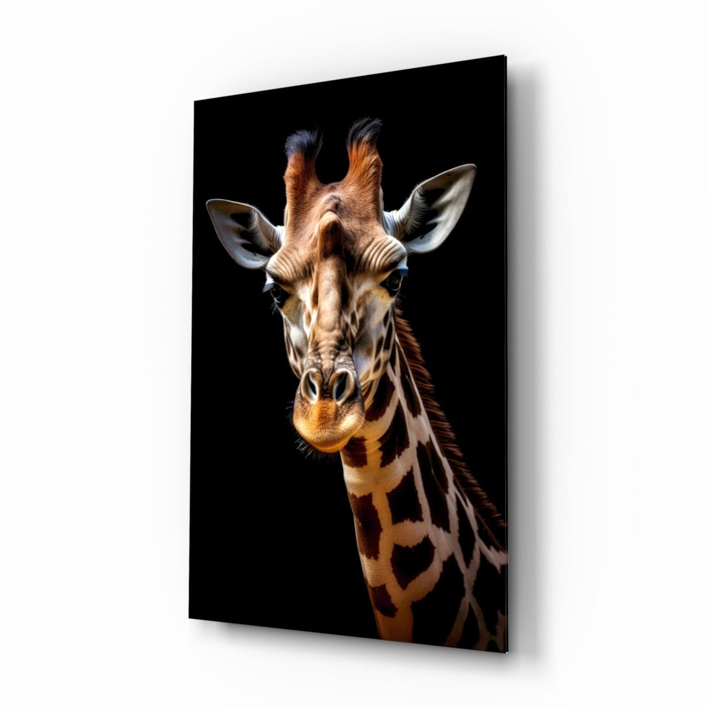 A giraffe's head-on portrait with warm tan and brown coloring against a black background, displayed on a rectangular glass panel with a subtle shadow effect.