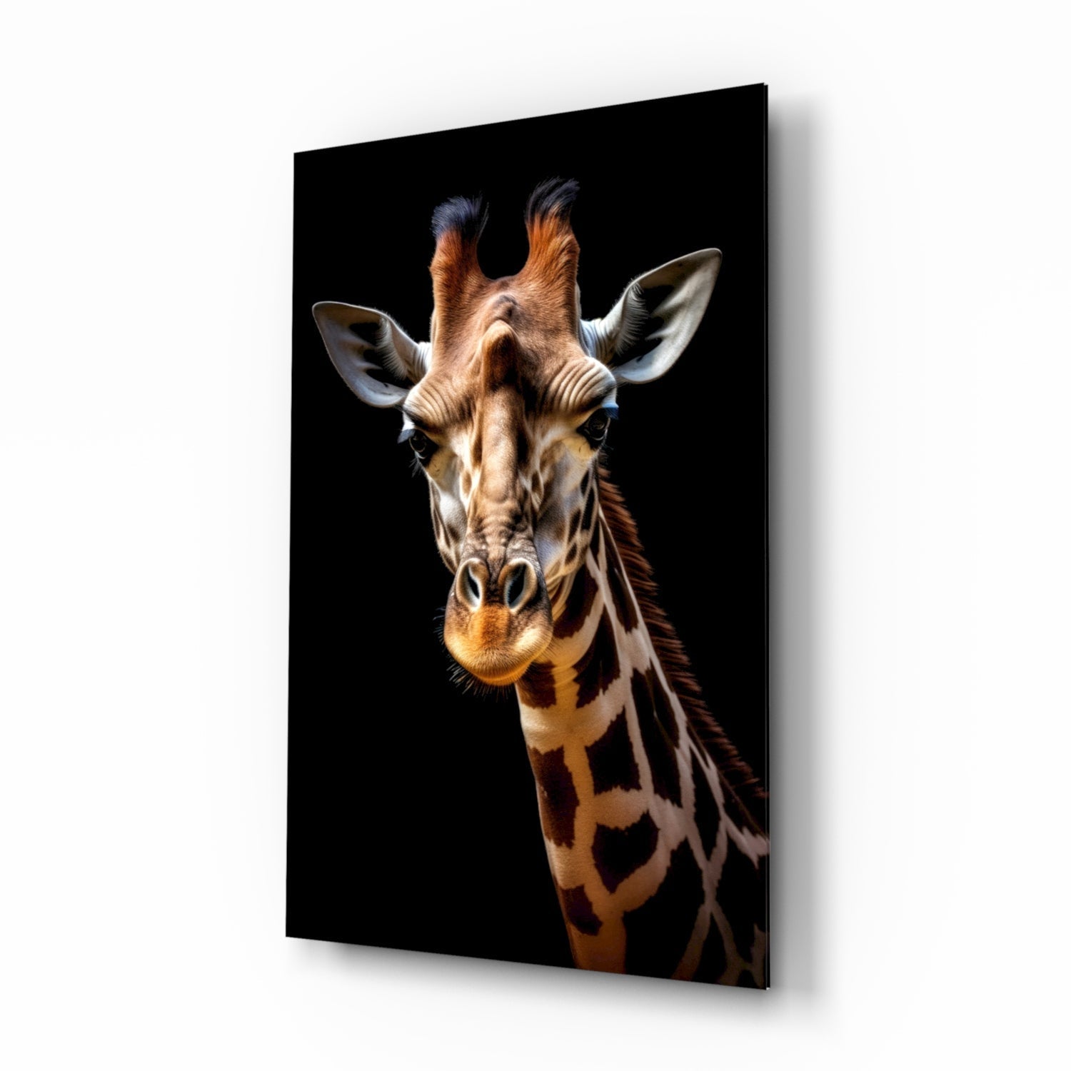 A giraffe's head-on portrait with warm tan and brown coloring against a black background, displayed on a rectangular glass panel with a subtle shadow effect.