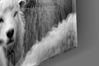 Close-up of textured glass surface showing detailed fur texture in grayscale with soft focus and dimensional edge detail.