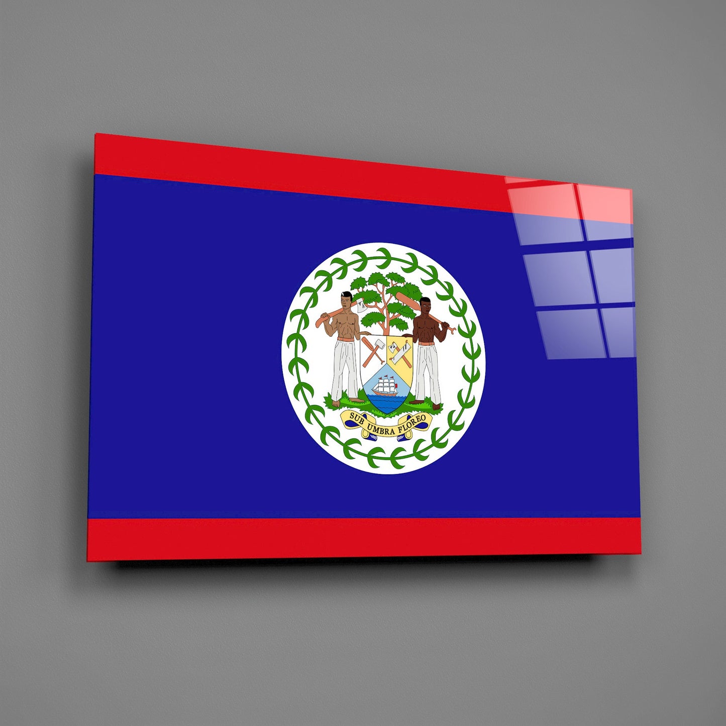 Belize Flag Glass Wall Art