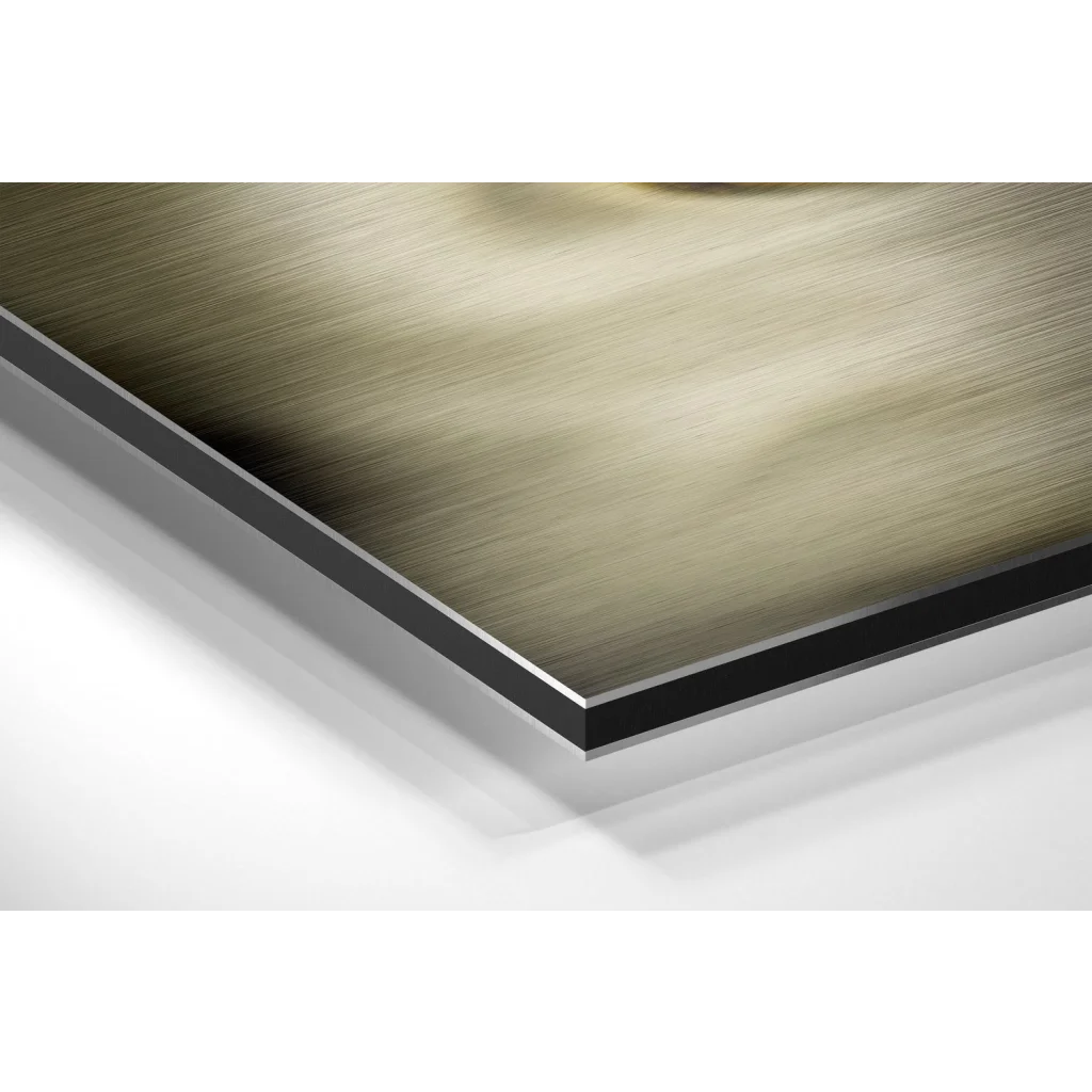 Stunning Brushed Aluminium Dibond Prints That Pop | Glass Wall Art Print | vintageantiquesgifts.com