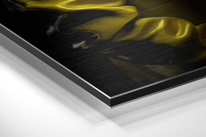 Yellow Jacket Rhino With Headphones Brushed Aluminum Dibond Wall Art