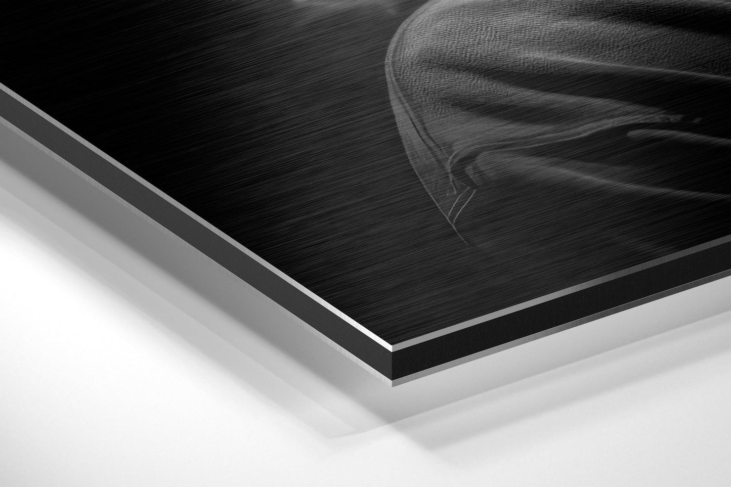 Grayscale Hooded Rapper In Mist Brushed Aluminum Dibond Wall Art