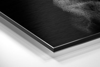 Black Doberman With Silver Pistol Brushed Aluminum Dibond Wall Art