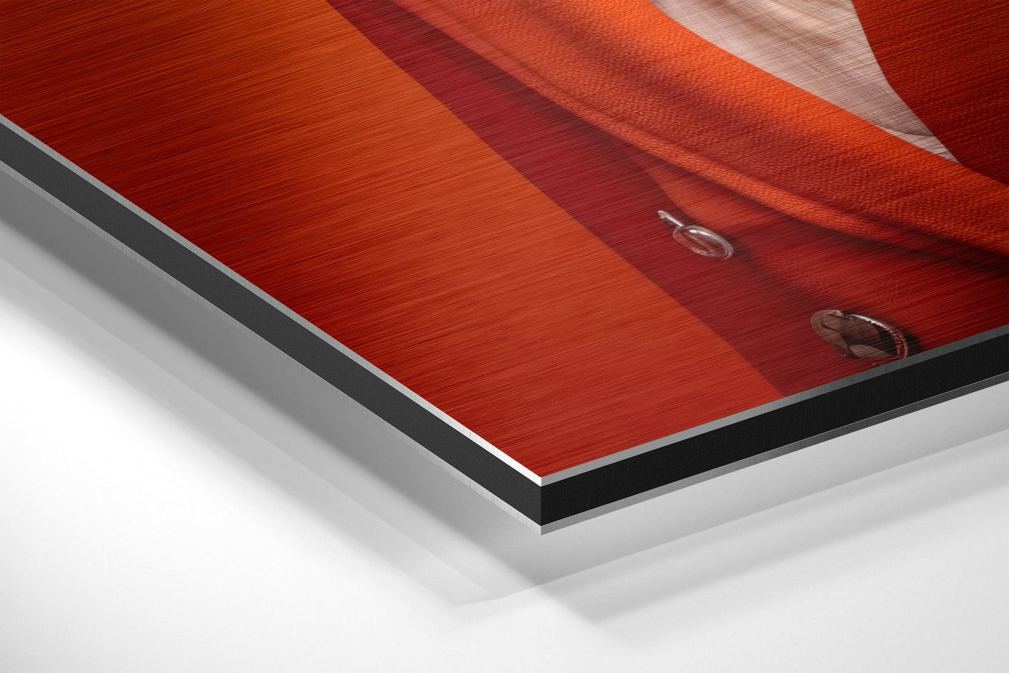 Coral Fedora Goose in Red Coat Brushed Aluminum Dibond Wall Art