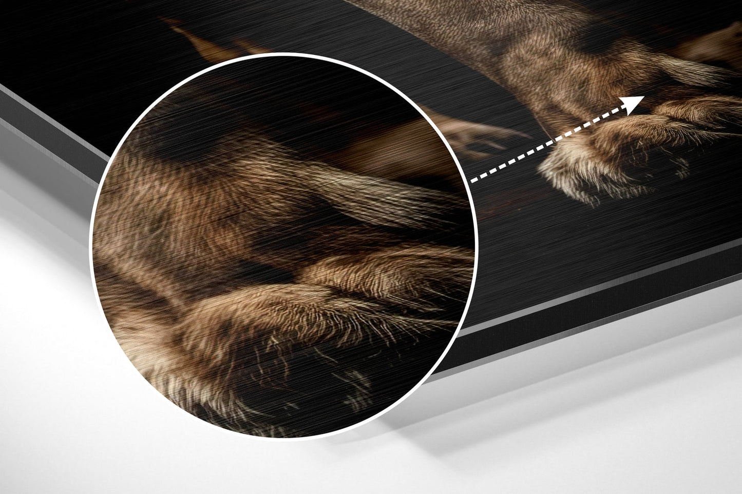 Roaring Lion in Darkness Brushed Aluminum Dibond Wall Art