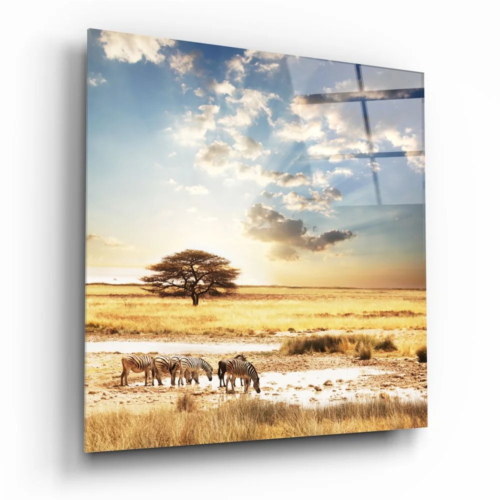 Stunning zebra savanna tempered glass art panel with zebras drinking