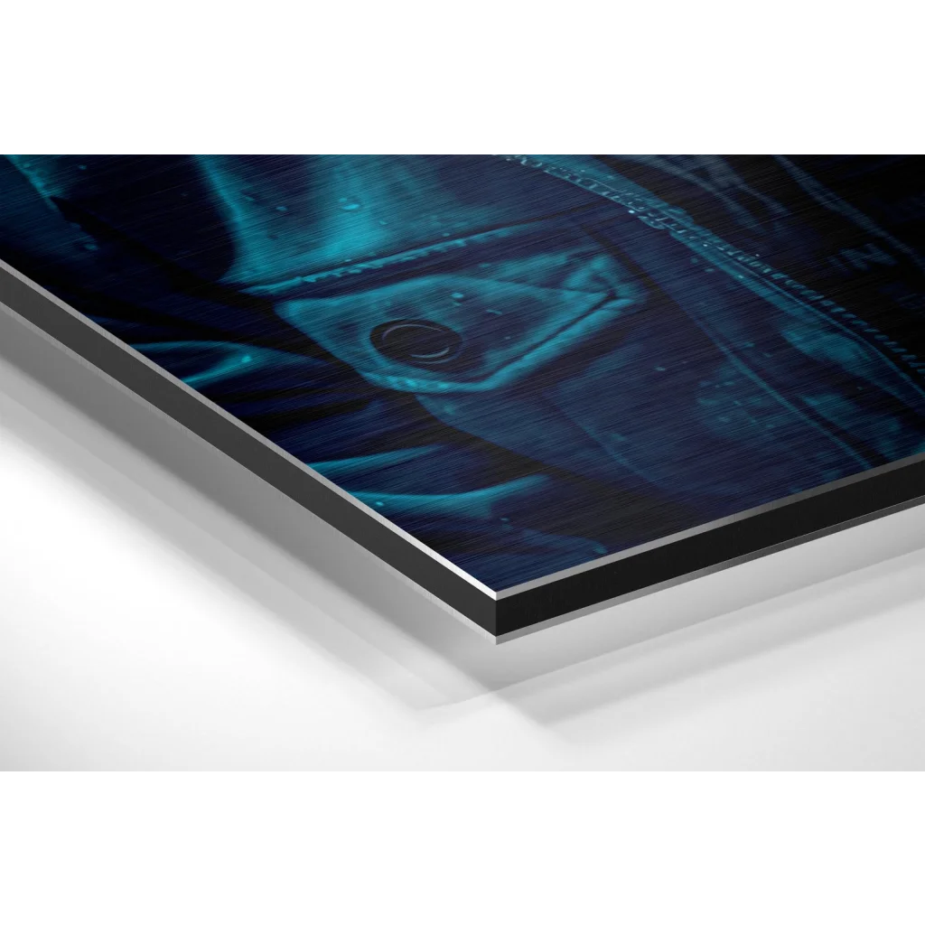 Stunning Brushed Aluminium Dibond Wall Art Prints | Glass Wall Art Print | vintageantiquesgifts.com