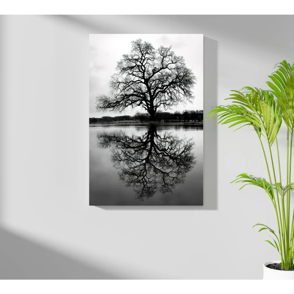 Black-and-white tree reflection on Insigne Aluminum Prints