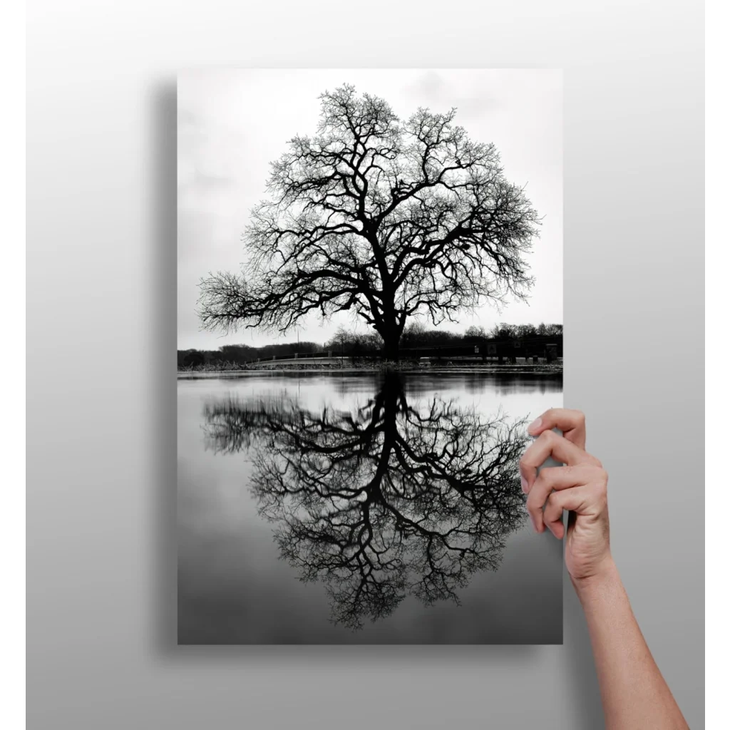 Stunning Tree Reflection Insigne Aluminum Prints | Insigneart USA | vintageantiquesgifts.com