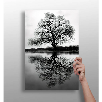 Stunning Tree Reflection Insigne Aluminum Prints | Insigneart USA | vintageantiquesgifts.com