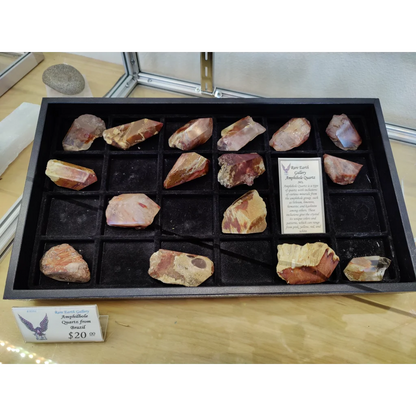 Amphibole angel phantom quartz Brazil in black tray
