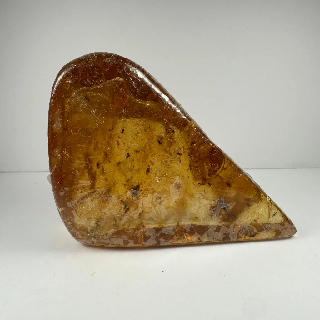 Translucent amber fossil stone with trapped prehistoric insects