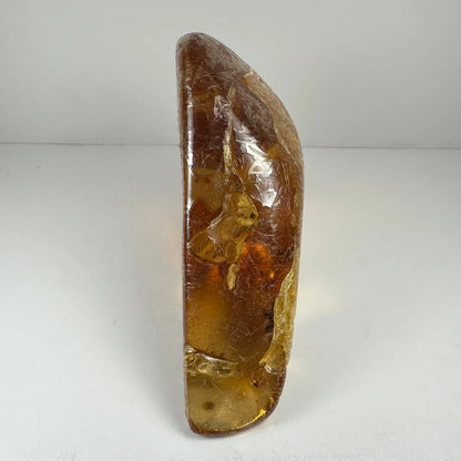 Translucent amber resin sculpture with real prehistoric insect fossils