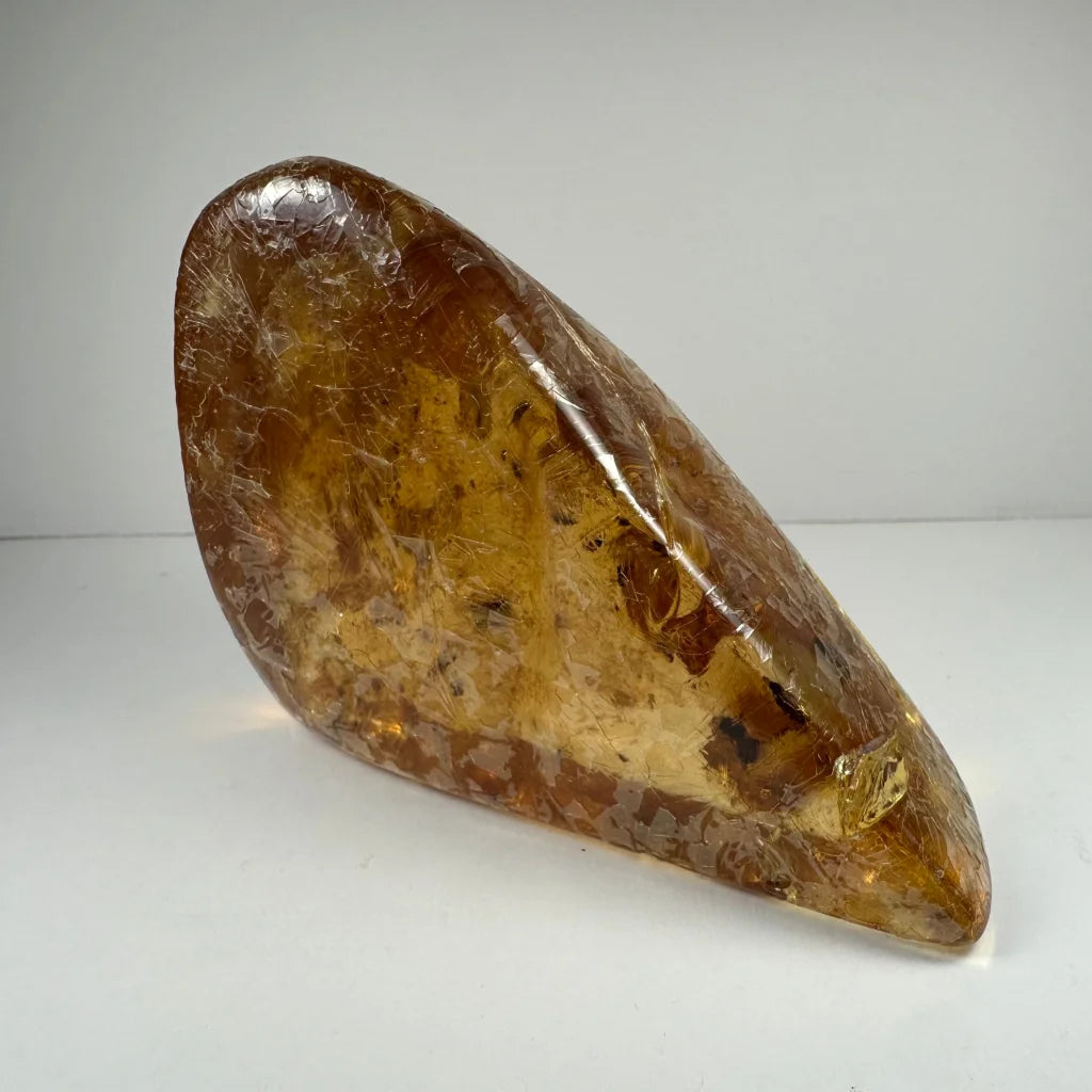 Translucent amber fossil sculpture with trapped prehistoric insects