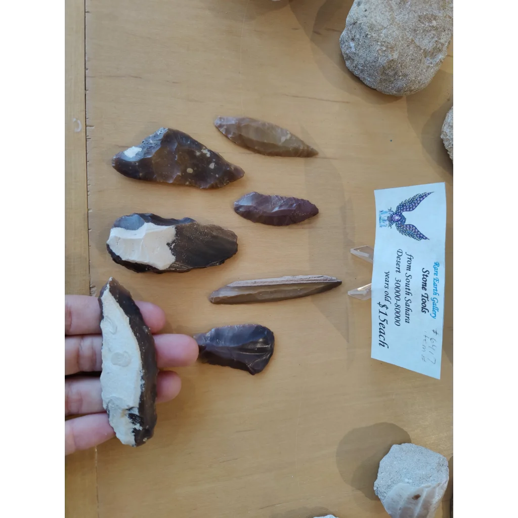 Hand holding ancient Moroccan Saharan stone tool with light core, 30000-80000 years old