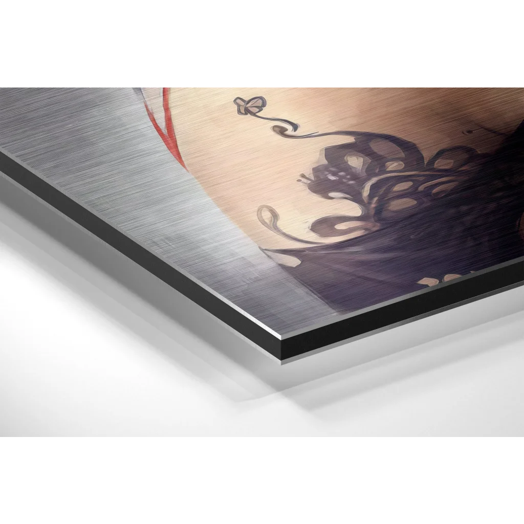 Androwoman Brushed Aluminium Dibond Wall Art