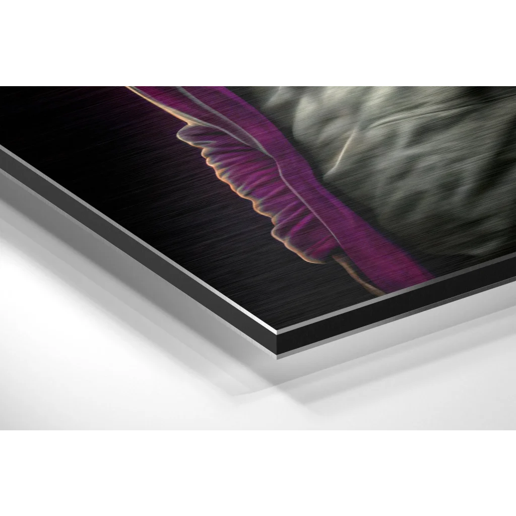 Stunning Brushed Aluminium Dibond Art That Transforms Your Space | Glass Wall Art Print | vintageantiquesgifts.com