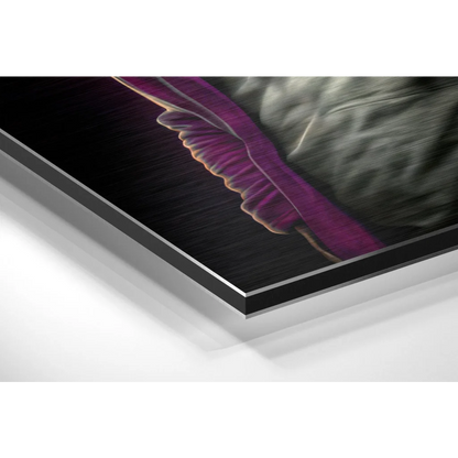 Stunning Brushed Aluminium Dibond Art That Transforms Your Space | Glass Wall Art Print | vintageantiquesgifts.com