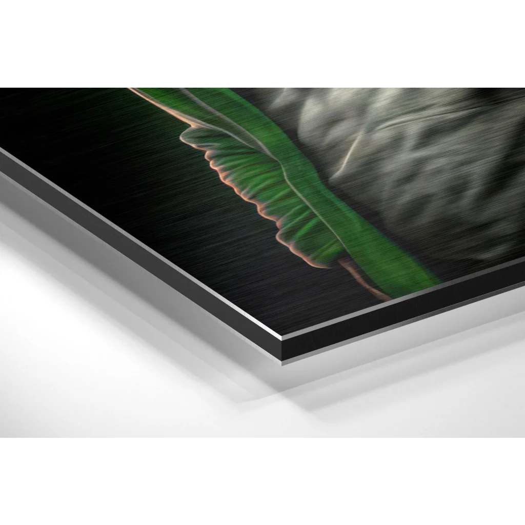 Premium Brushed Aluminium Dibond Wall Art That Stuns | Glass Wall Art Print | vintageantiquesgifts.com