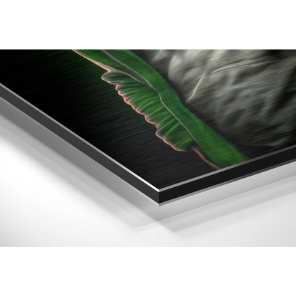 Premium Brushed Aluminium Dibond Wall Art That Stuns | Glass Wall Art Print | vintageantiquesgifts.com