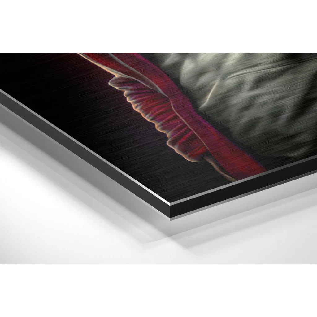 Stunning Brushed Aluminium Dibond Art That Pops | Glass Wall Art Print | vintageantiquesgifts.com