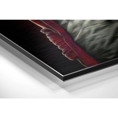 Stunning Brushed Aluminium Dibond Art That Pops | Glass Wall Art Print | vintageantiquesgifts.com