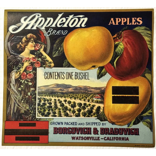 Vintage Appleton Crate Label showcases charming California apples from the 1920s