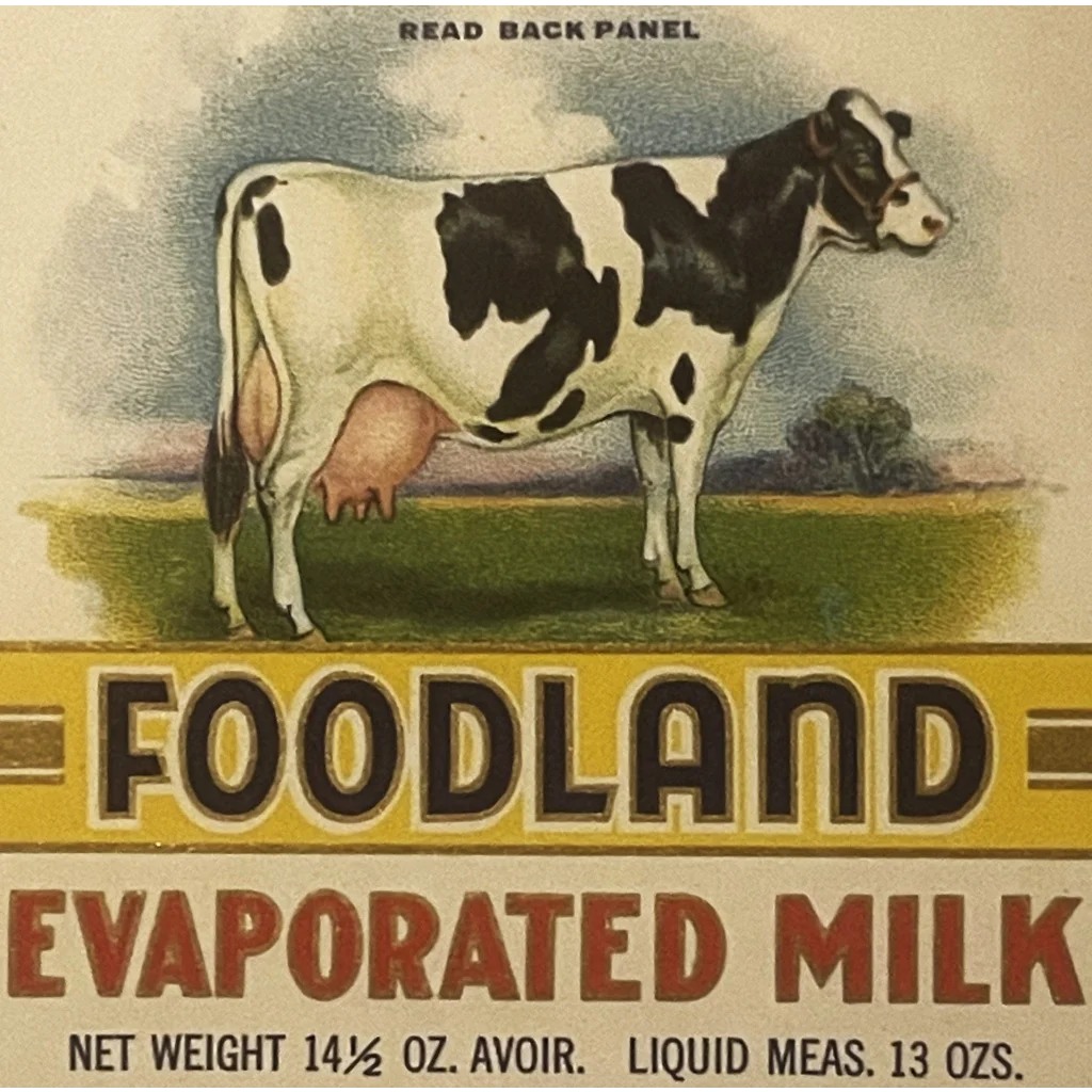 Black and white dairy cow in profile on a 1920s Foodland Evaporated Milk label