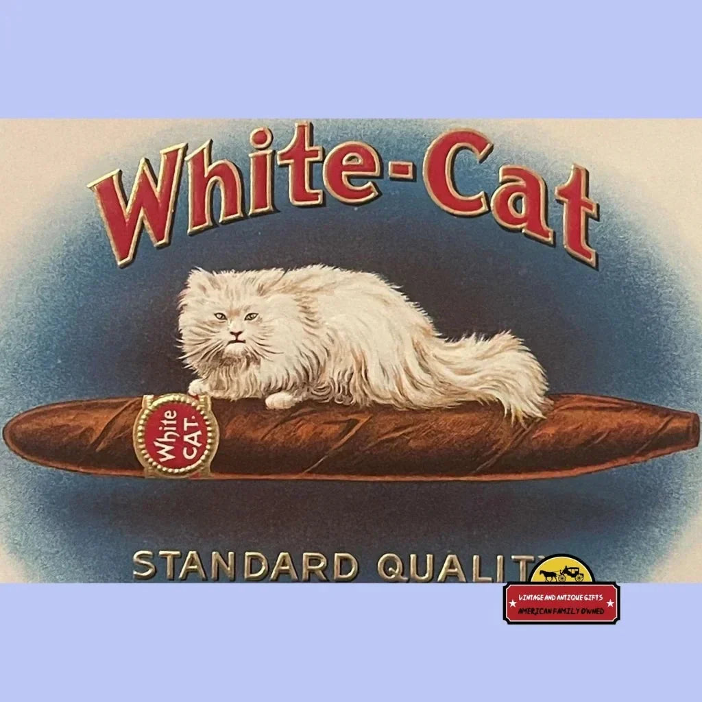 Fluffy white cat relaxing on a brown cushion from rare antique vintage cigar label