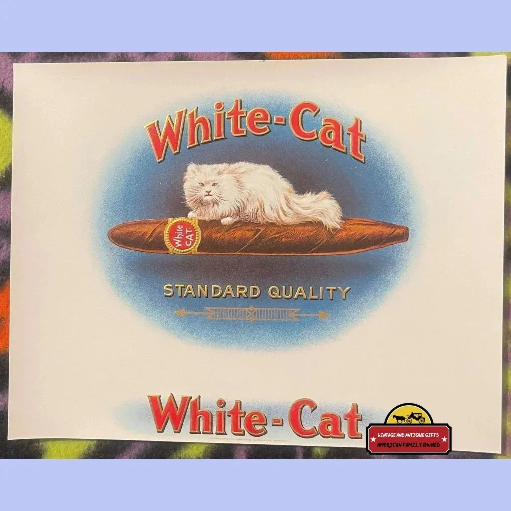 Vintage embossed cigar label showing a fluffy white cat lounging on a cigar