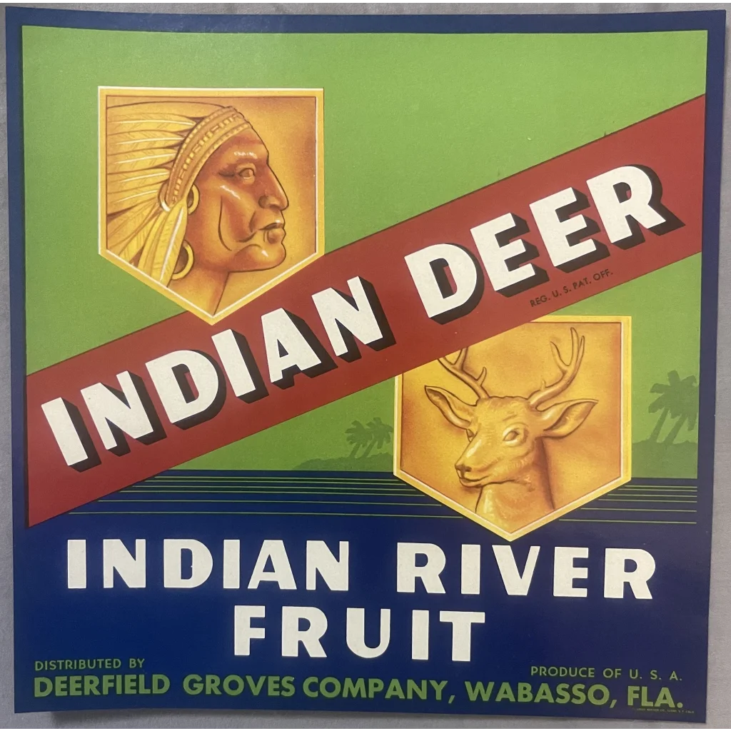 Antique Vintage 1940s 🦌 Indian Deer Crate Label Wabasso FL Amazing Decor! 🏹 Advertisements Food and Home Misc.