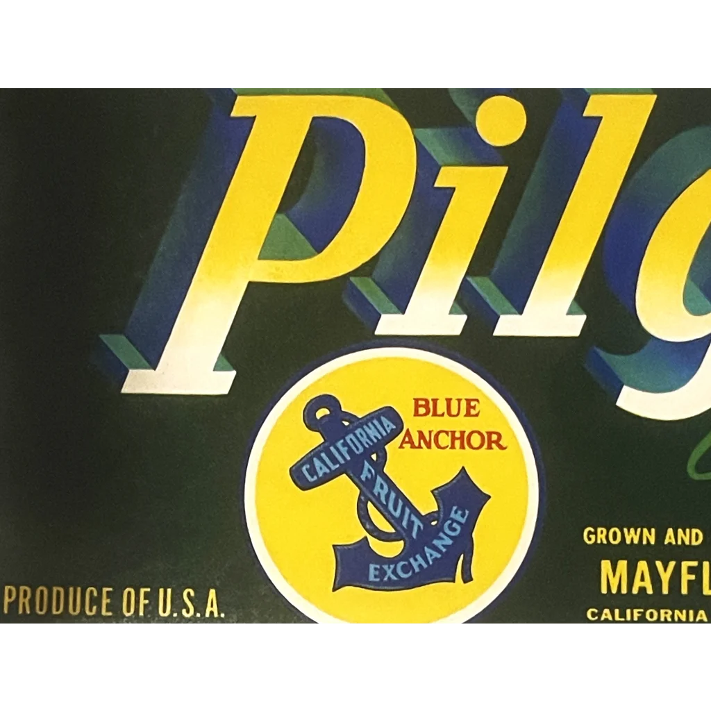 Vintage 1940s Pilgrim crate label with Blue Anchor brand and ship’s anchor logo