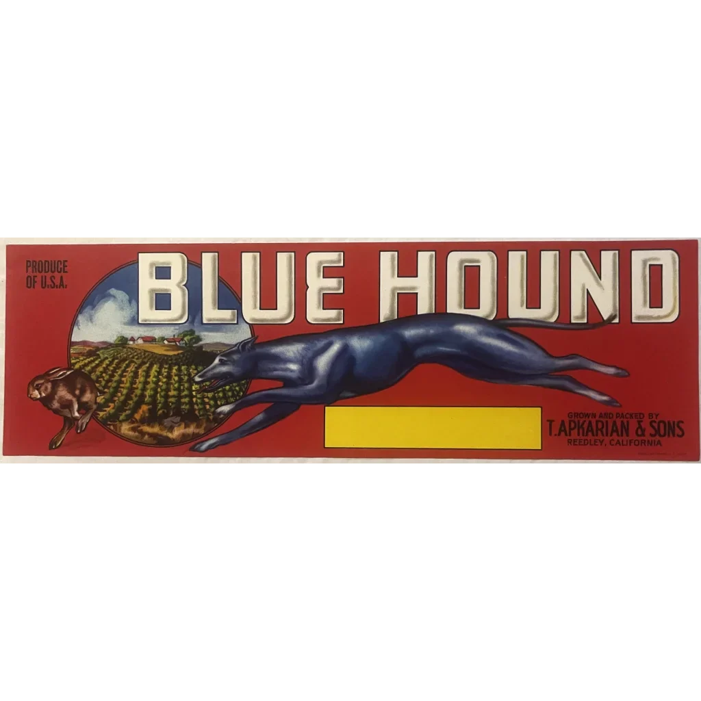 Antique Vintage 1950s Blue Hound Crate Label Reedley CA Greyhound Dog Racing! Advertisements - Thrilling Racing Relic!