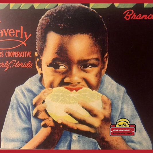 Antique Vintage Dixie Boy Crate Label Waverly Fl 1930s Adorable Child! Advertisements Charming FL