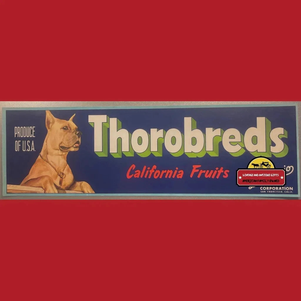 Vintage Thorobreds California Fruits crate label with dog illustration, perfect antique vintage find