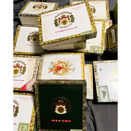 Macanudo robusto cigar box with ornate gold and red design from antique vintage wooden cigar boxes collection