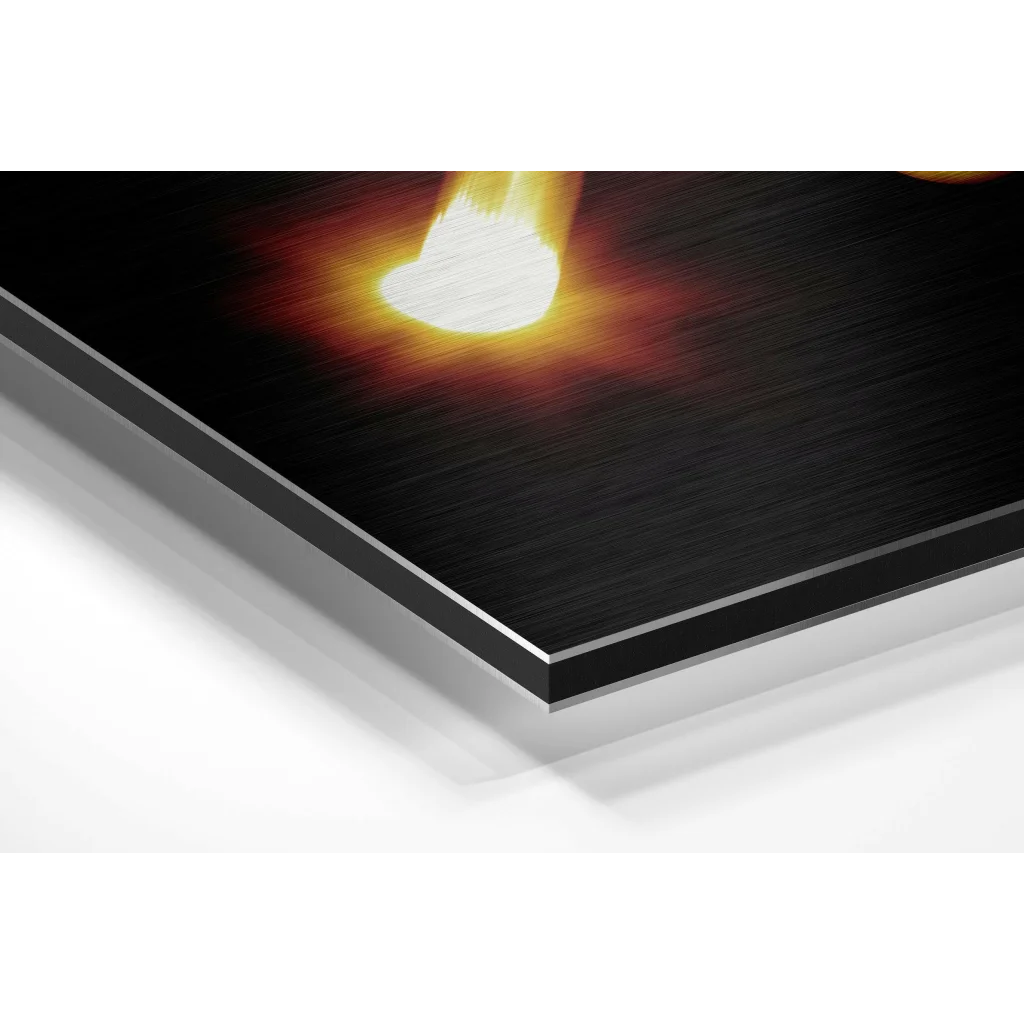 Aquarius Brushed Aluminium Dibond Wall Art